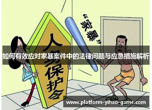 如何有效应对家暴案件中的法律问题与应急措施解析