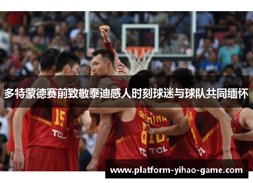 多特蒙德赛前致敬泰迪感人时刻球迷与球队共同缅怀
