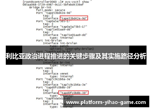 利比亚政治进程推进的关键步骤及其实施路径分析