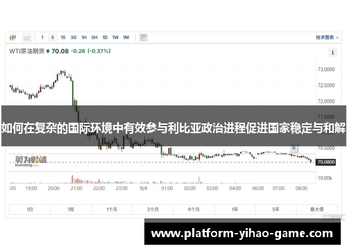 如何在复杂的国际环境中有效参与利比亚政治进程促进国家稳定与和解