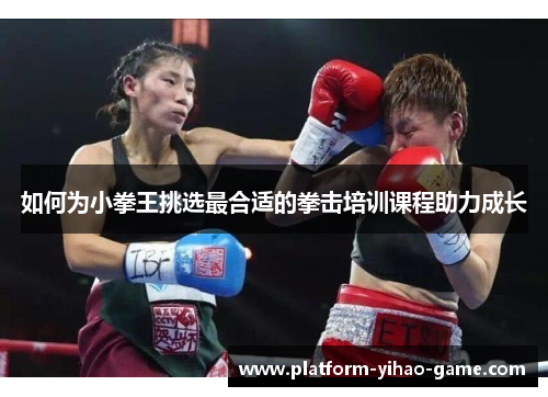 如何为小拳王挑选最合适的拳击培训课程助力成长