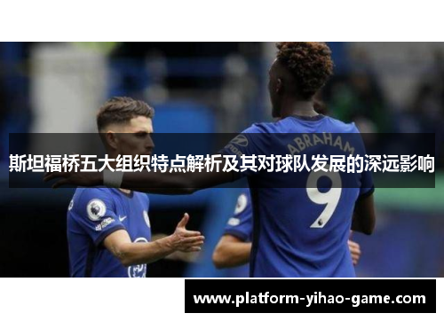 斯坦福桥五大组织特点解析及其对球队发展的深远影响